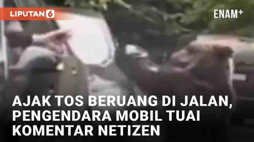 VIDEO: Ajak Tos Beruang di Jalan, Aksi Pengendara Mobil Tuai Komentar Netizen