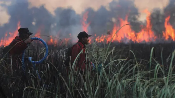 Karhutla Hanguskan 107 Ribu Hektare Hutan dan Lahan di Indonesia