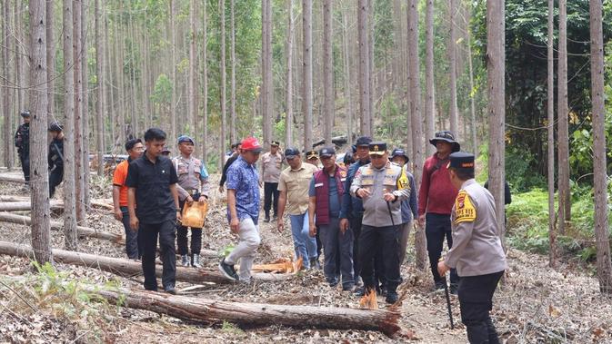 Miris Kasus Gajah Sumatera Mati dengan Kepala Terpotong di Riau, Pelaku Diburu