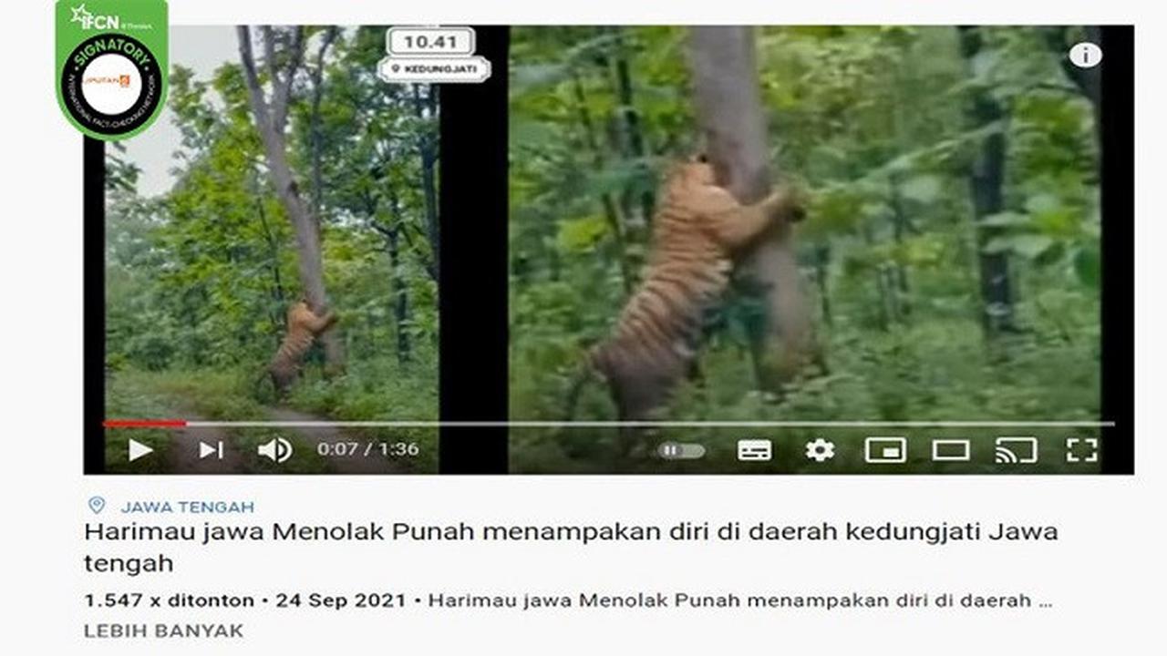 Gambar Tangkapan Layar Video yang Diklaim Kemunculan Harimau di Kedungjati, Jawa Tengah (sumber: Facebook).