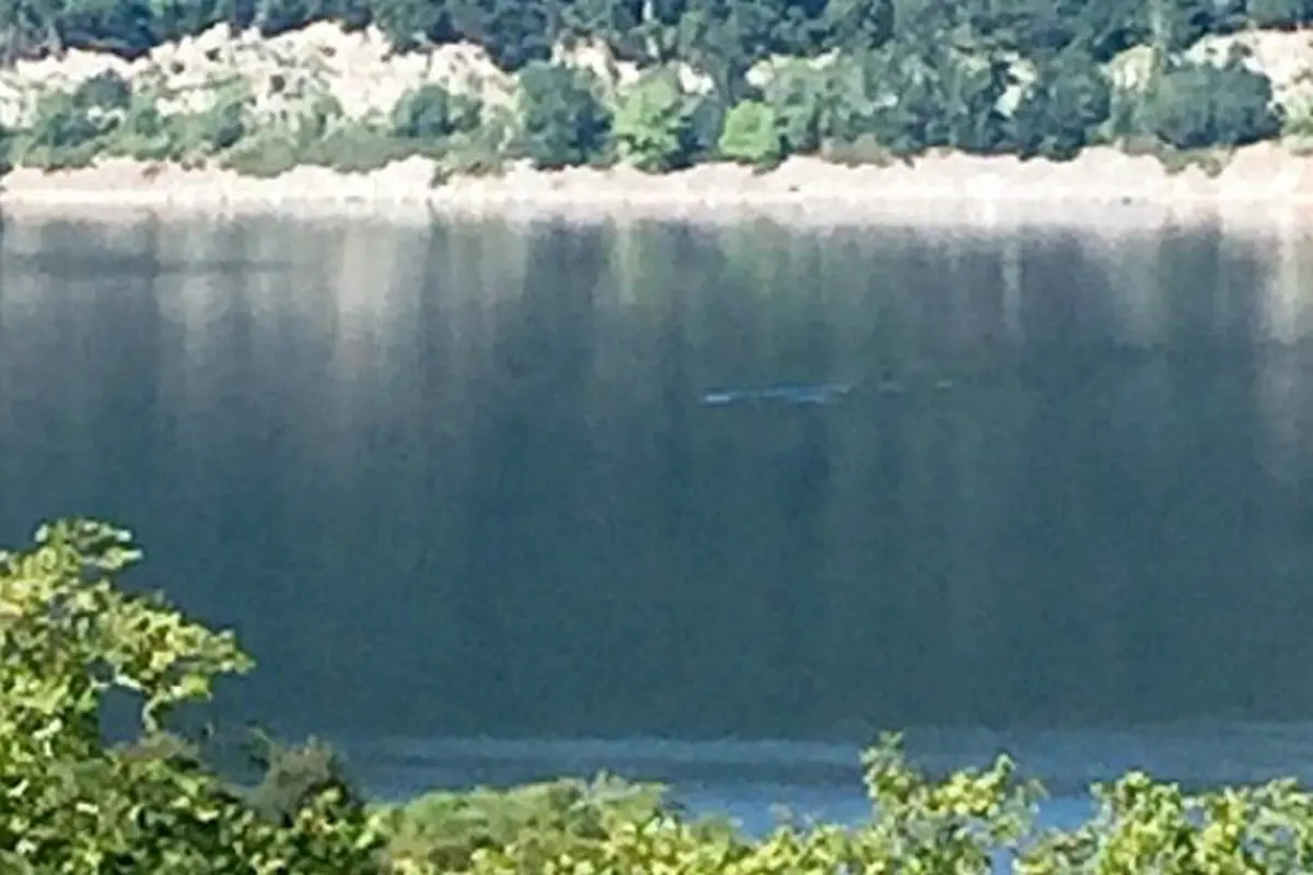 Seorang wanita yang sedang berlibur mengaku telah mengabadikan Loch Ness di tempat legenda monster itu berasal.