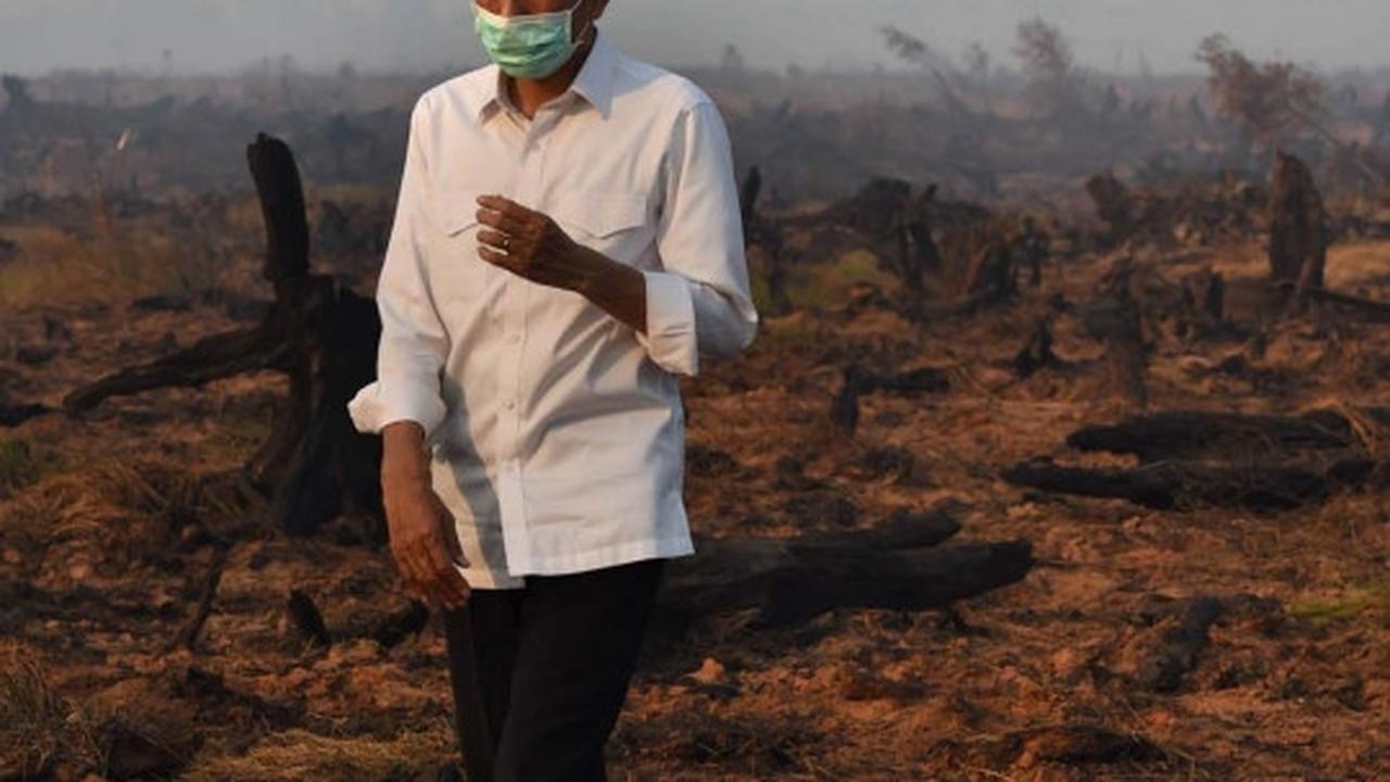 Aksi Jokowi tinjau langsung kebakaran hutan di Kalimantan