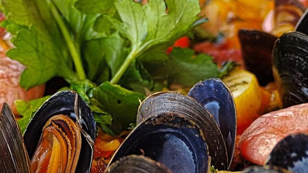 Jenis Kerang Aman Dikonsumsi, Ketahui Kandungan Nutrisinya