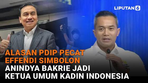 Alasan PDIP Pecat Effendi Simbolon, Anindya Bakrie Jadi Ketua Umum Kadin Indonesia