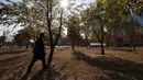 Seorang pria yang memakai masker sebagai pencegahan terhadap virus corona COVID-19 berjalan dekat pepohonan saat musim gugur di Seoul, Korea Selatan, Rabu (11/11/2020). (AP Photo/Lee Jin-man)