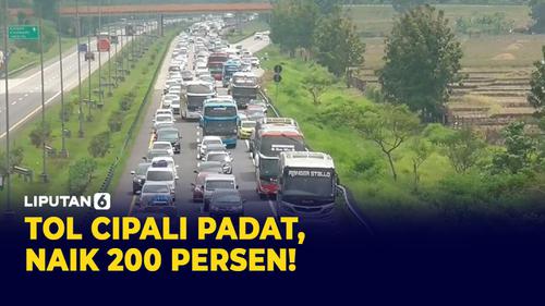 VIDEO: Tol Cipali Macet Panjang, Jumlah Mobil Naik 200 Persen!