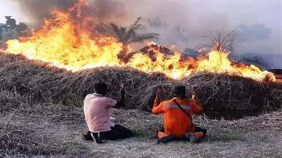 Kebakaran Hutan Kalteng yang Menggerus Penghasilan Warga