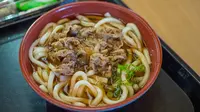 Udon - Image by Larry White from Pixabay