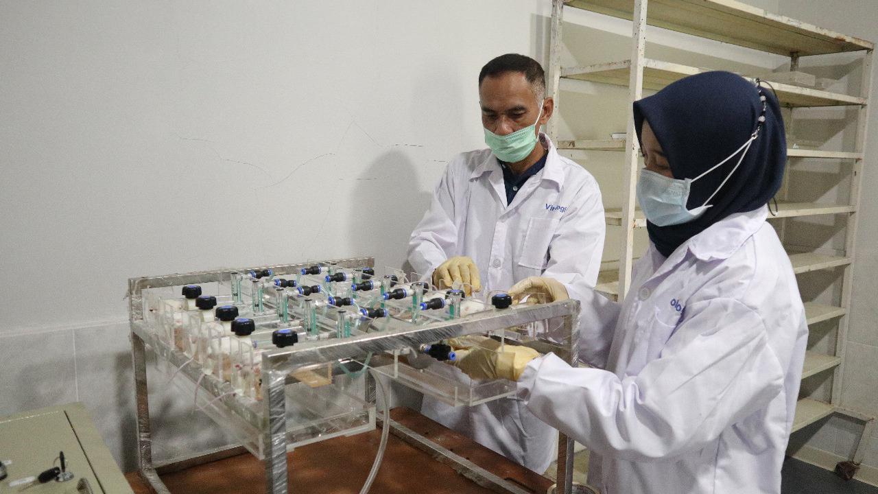 Balitbang Kementan Ekspose Uji Lanjutan Eucalyptus pada Virus SARS-CoV2