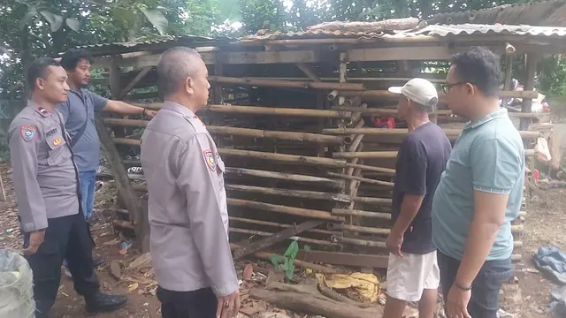 Belasan Kambing di Depok Dicuri dan Disembelih dalam Kandang, Polisi Turun Tangan