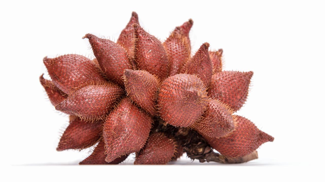 Ilustrasi buah salak
