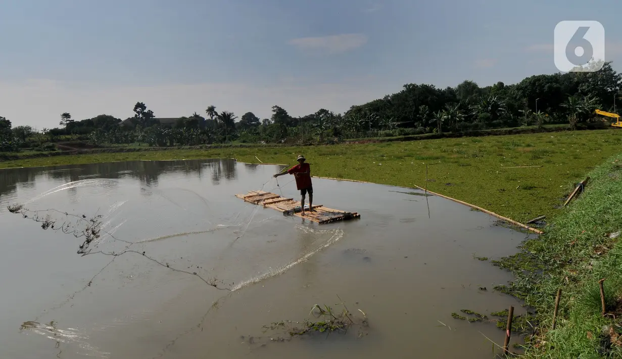 Warga menjala ikan pada bagian situ yang dipenuhi gulma di Situ Tujuh Muara, Depok, Jawa Barat, Senin (20/9/2021). Situ Tujuh Muara yang awalnya luasnya 30 hektar kini menyusut 24 hektar dengan sebagian sisinya dipenuhi tanaman gulma dan endapan lumpur. (merdeka.com/Arie Basuki)