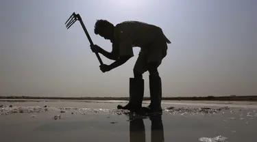 Seorang buruh mengumpulkan garam laut di daerah pesisir dekat Karachi, Pakistan, Sabtu (13/11/2021). Buruh memperoleh rata-rata 1.050 rupee Pakistan (US$ 6) per hari dari pekerjaan mereka untuk mencari nafkah bagi keluarga. (AP Photo/Fareed Khan)