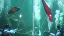 Penyelam melakukan upacara pengibaran bendera di Aquarium Utama Sea World Ancol, Jakarta, Senin (12/8/2019). Pengibaran bendera diadakan dalam rangka menyambut HUT ke-74 RI pada 17 Agustus mendatang. (Liputan6.com/Immanuel Antonius)