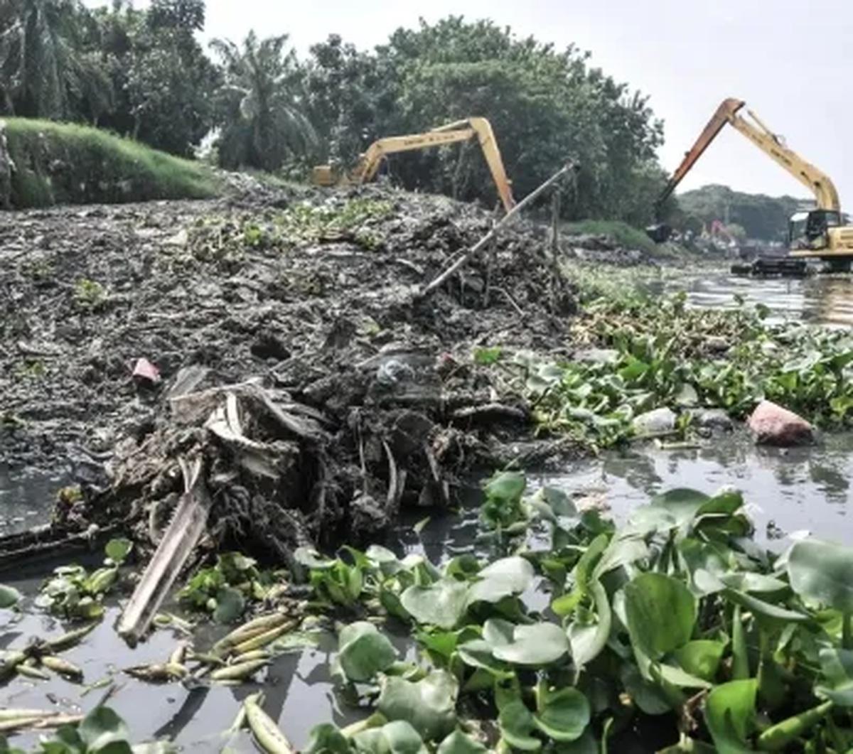 Terlebih pada saat beberapa hari yang lalu. Eceng gondok sempat memenuhi sebagian besar waduk dan menyebabkan aroma tidak sedap.

Meskipun demikian, ia tidak mengetahui secara jelas mengapa tanaman eceng gondok sering kali bertumbuhan di tepi-tepi waduk