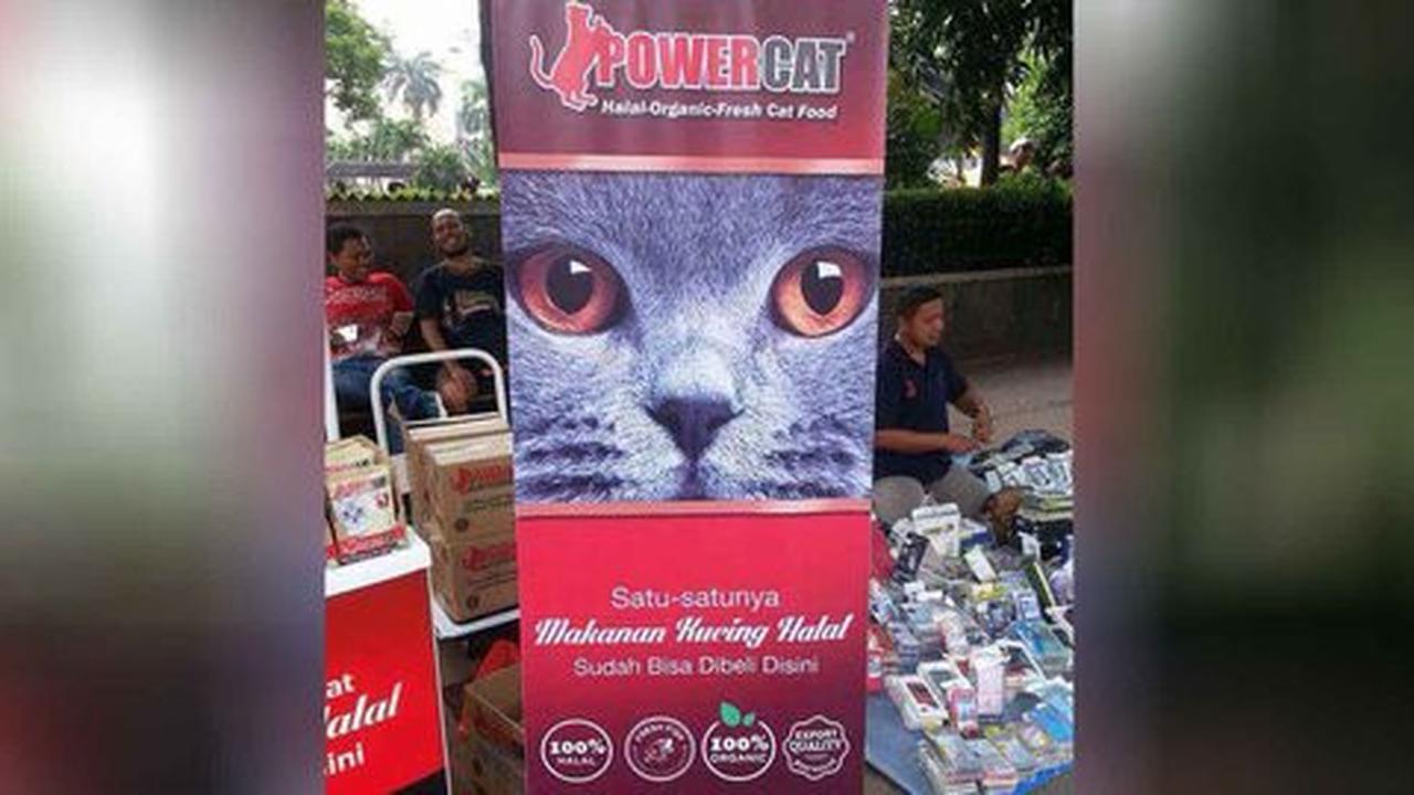 Kini makanan kucing juga mendapatkan sertifikasi halal oleh MUI