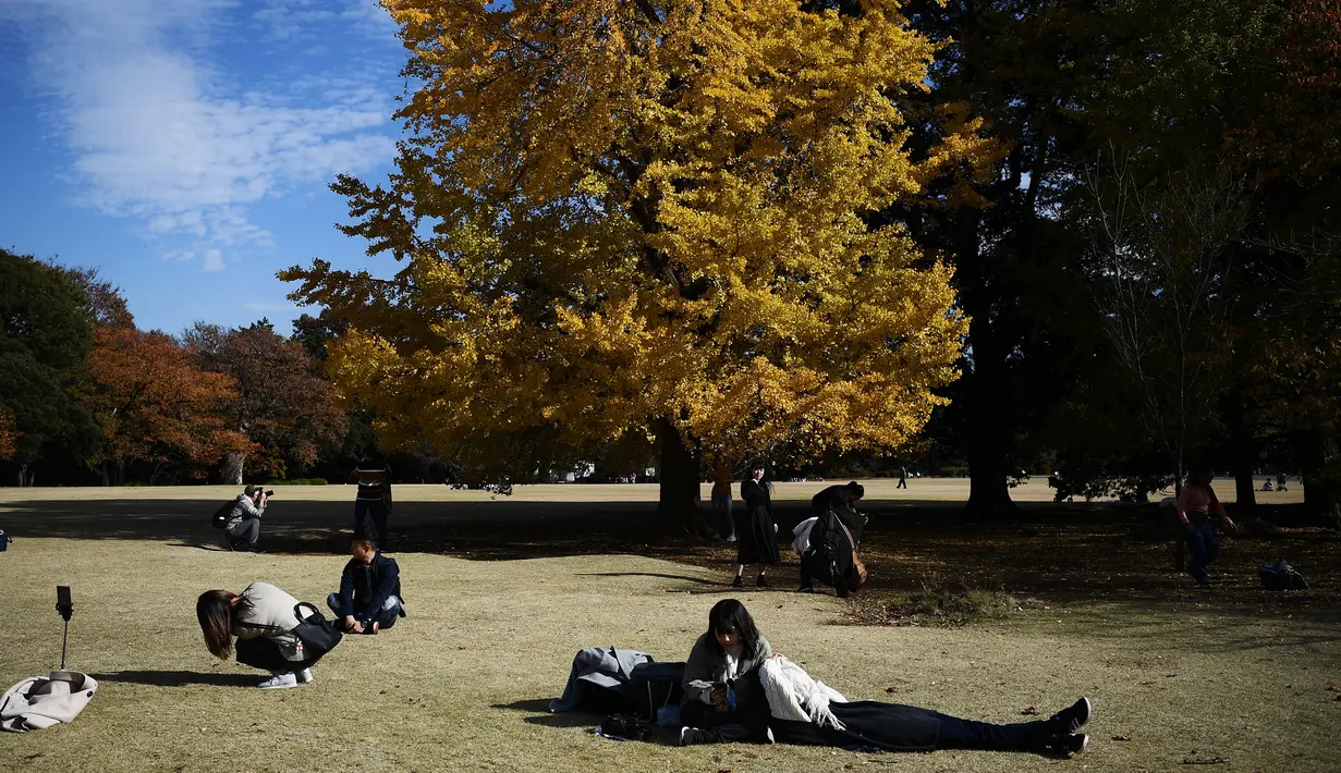 Orang-orang bersantai sambil menikmati cuaca musim gugur di Gyoen Park di Tokyo (5/12/2019). Ada tiga gerbang untuk meangakses Shinjuku Gyoen, yaitu Gerbang Shinjuku, Gerbang Okido, dan Gerbang Sendagaya. (AFP/Charly Triballeau)