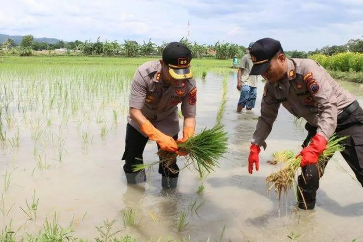 Bersama Masyarakat, Polri Wujudkan Program Ketahanan Pangan di tengah Pandemi Covid-19
