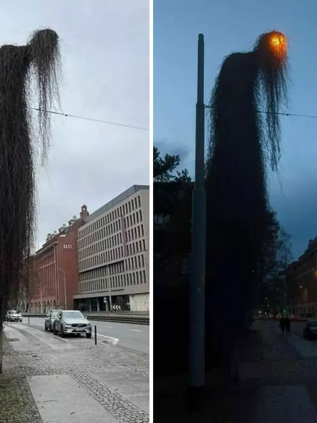 Desain Taman Nyeleneh Mirip Monster