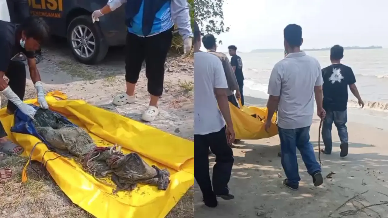Proses evakuasi penemuan mayat di pantai Lampung Selatan