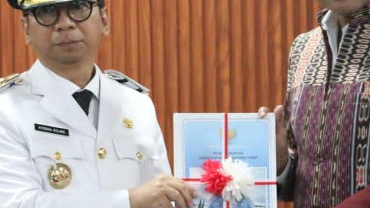 Ini Profil Ayodhia Kalake, Penjabat Gubernur NTT Pengganti Viktor Laiskodat