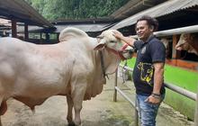 Tips Pilih Hewan Kurban Sesuai Syariat Islam