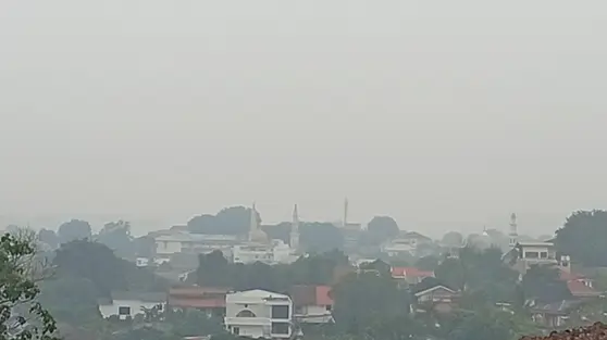 Kabut Asap Batam, Ombudsman Minta Siswa Belajar di Rumah