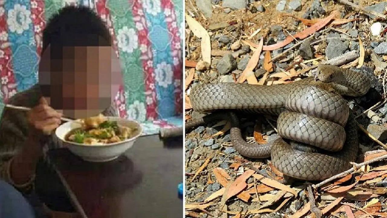 Kabur dari Rumah, Bocah Bertahan di Alam Liar Makan Daging Ular