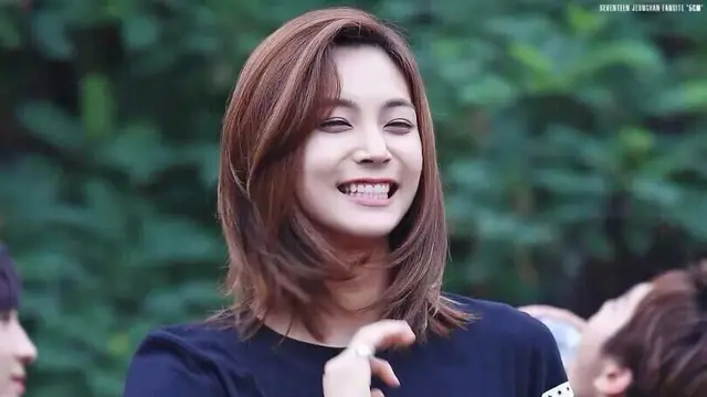 Jeonghan Seventeen