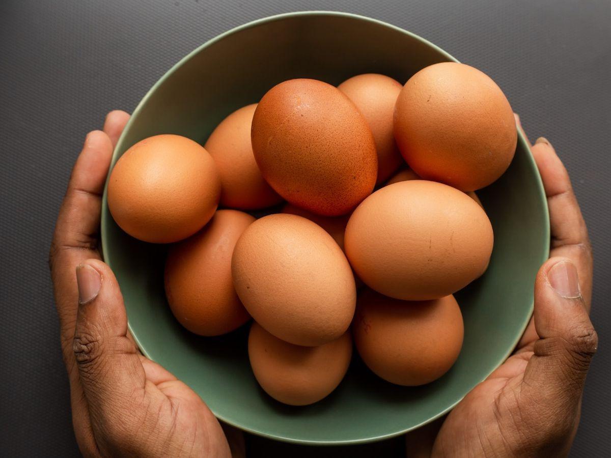 9. Telur