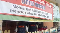 Orang Tua Korban Daycare Jogja Mengadu ke DPR, Anak Trauma hingga Gizi Buruk