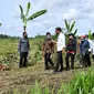 Presiden Joko Widodo didampingi Stafsus Presiden RI Billy Mambrasar meninjau program Petani Milenial dari Kementerian Pertanian RI saat berada di Papua Barat. (Ist)