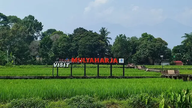 Bogor Botanical Gardens