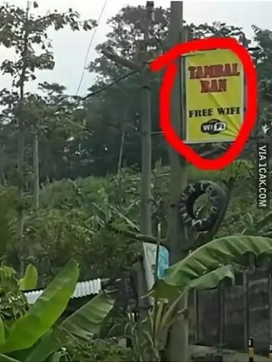 Keren, ada free wifi (Source: IST)