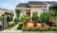 10 Jenis Pohon Buah yang Bisa Dibuat Pendek tetapi Tetap Berbuah Lebat di Pekarangan Kecil