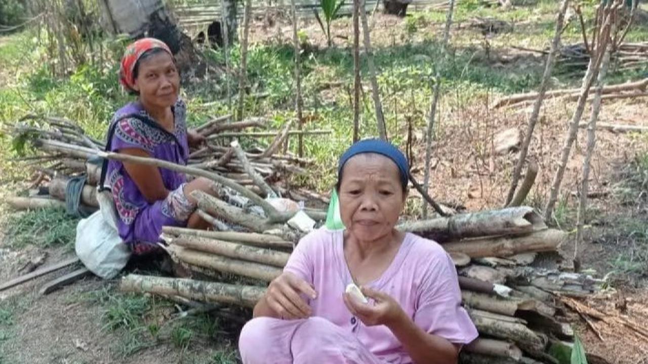 Tak Tergantung Pemerintah, Warga Pedalaman Lebak Gunakan Kayu Bakar untuk Memasak