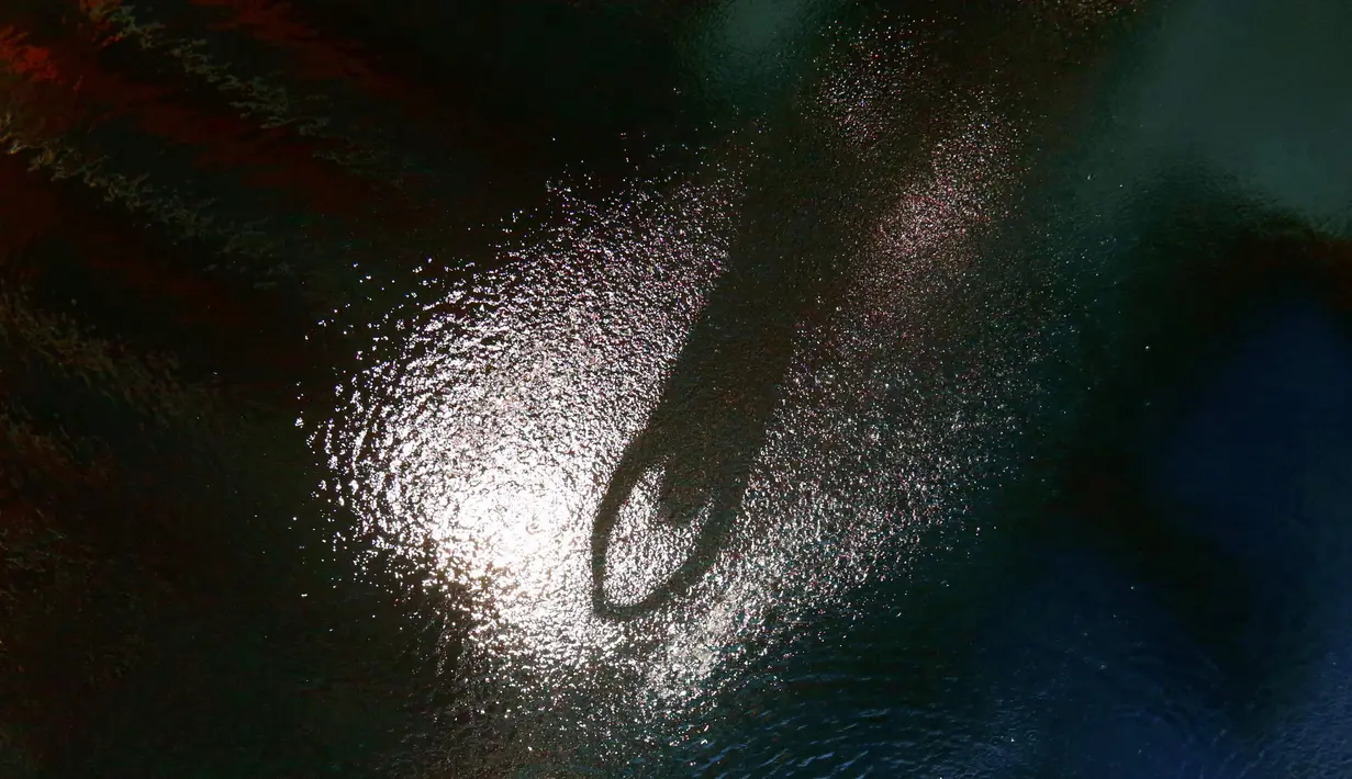 Siluet peloncat indah Australia, James Connor, saat tampil di nomor papan 3m putra loncat indah Kejuaraan Dunia Akuatik 2015 di Kazan, Rusia. (31/7/2015). (Reuters/Stefan Wermuth)