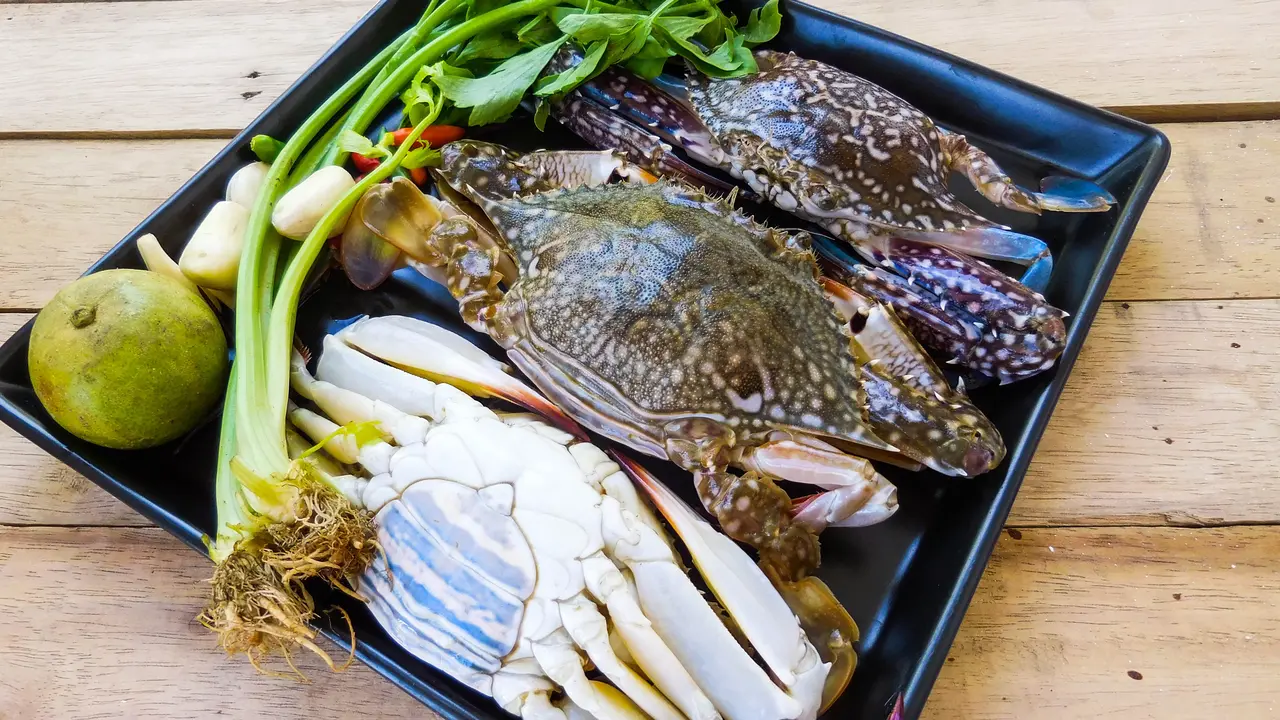 kepiting