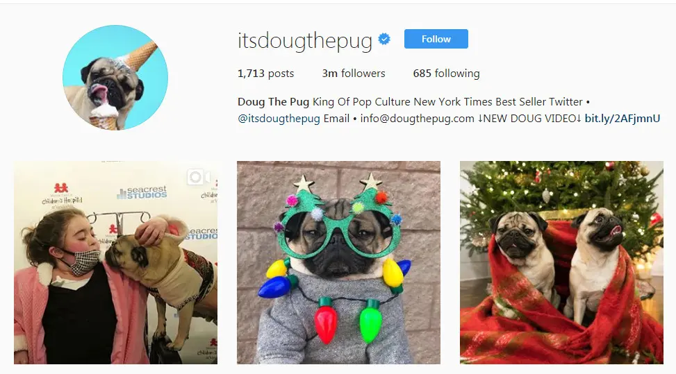 	Akun Instagram Its Dough The Pug (Sumber: @itsdoughthepug)