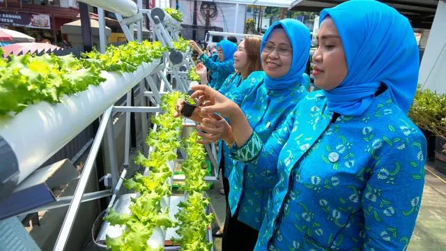 Urban Farming Ubah Kehidupan Masyarakat di Jayapura, Seperti Apa Kisah Inspiratif Mereka?