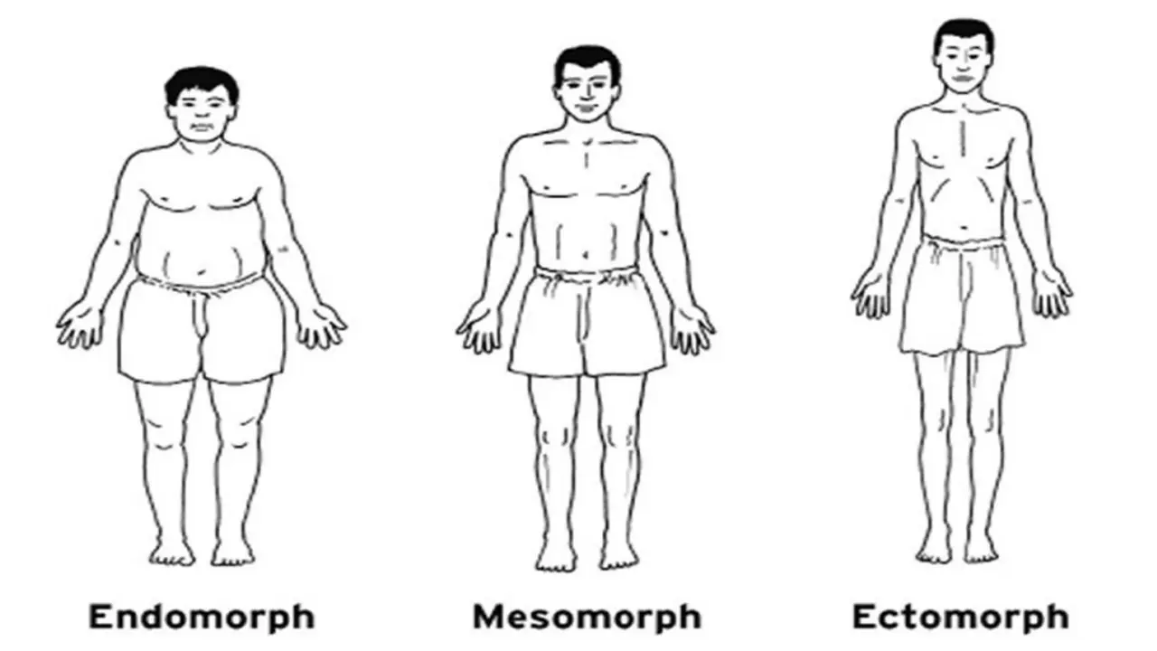 Kepribadian dari bentuk badan