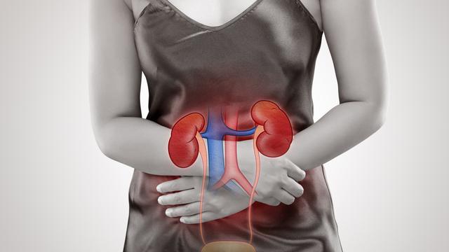 masalah ginjal (iStockphoto)