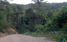 Potret buram infrastruktur Tambrauw hingga cerita hutan yang angker