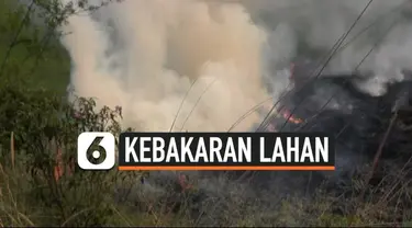 Kebakaran lahan di Banyuasin, Sumatera Selatan terus terjadi. Diperkirakan puluhan hektar lahan terbakar akibat kencangnya angin membawa api.