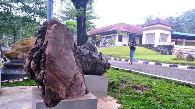 Batuan purba berusia puluhan hingga ratusan juta tahun tersimpan di Museum Geologi BIKK LIPI, Karangsambung, Kebumen. (Foto: Liputan6.com/Muhamad Ridlo)