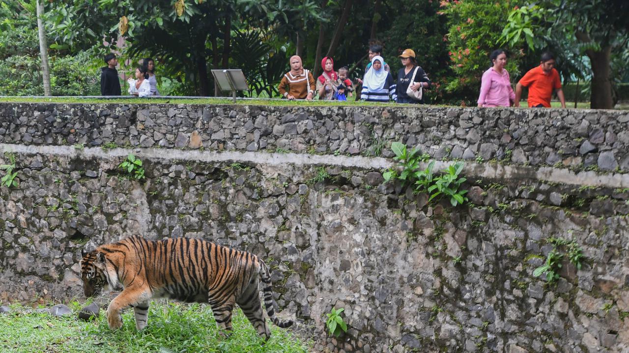 Taman Margasatwa Ragunan Bakal Dipoles, Buka Sampai Malam dan Punya Parkir Tingkat