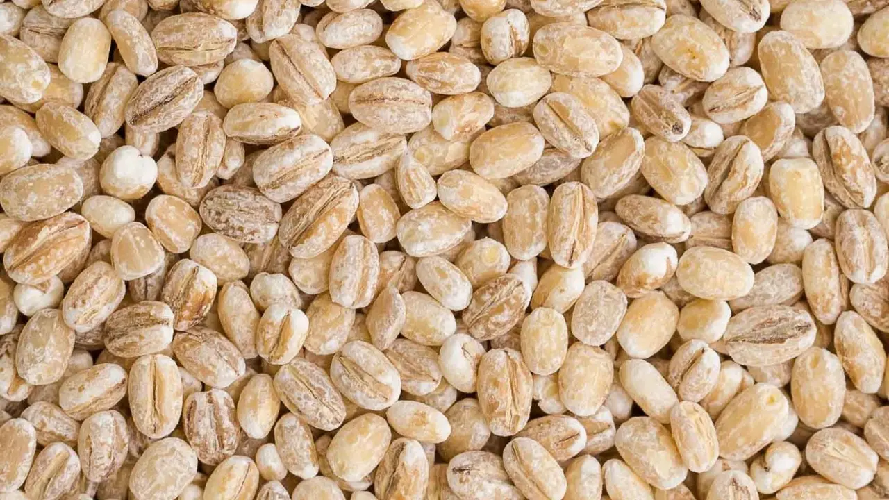 [Bintang] Barley
