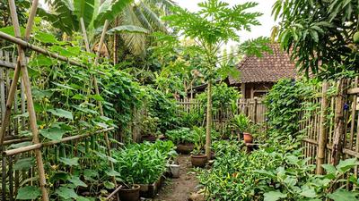 Cara Membuat Kebun Buah Campuran Sayur, Ikuti 7 Langkah Ini untuk Panen Melimpah