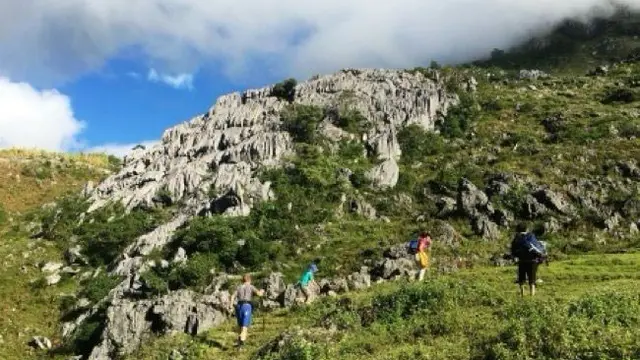 Batu kapur karst beralur yang muncul di pendakian Matebean (Nicholas Hughes, Juli 2018)