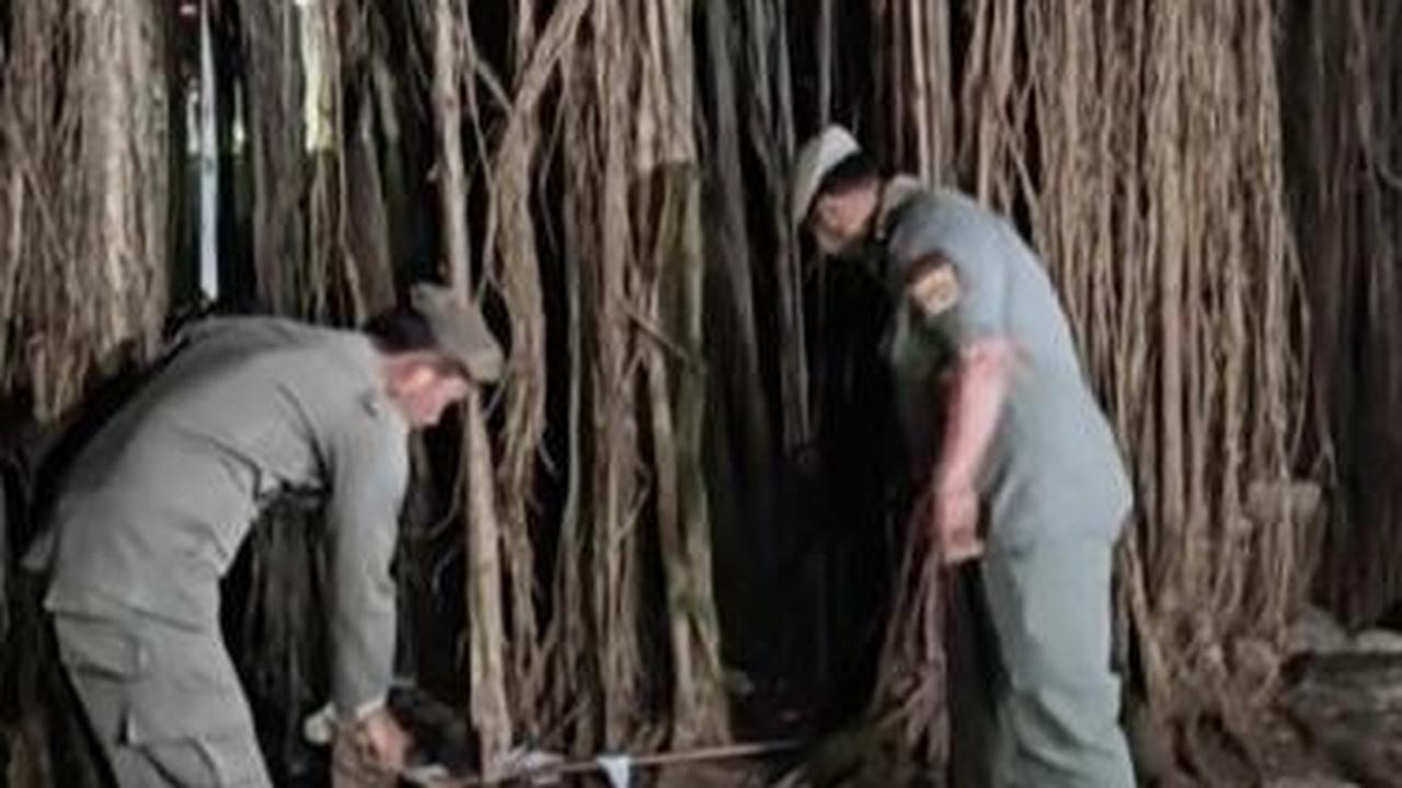 Selain penjagaan di lokasi, petugas juga melakukan penyisiran ke dalam Hutan Kota tersebut guna mengantisipasi adanya tindak asusila.